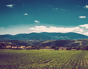 ip攻击器网页版